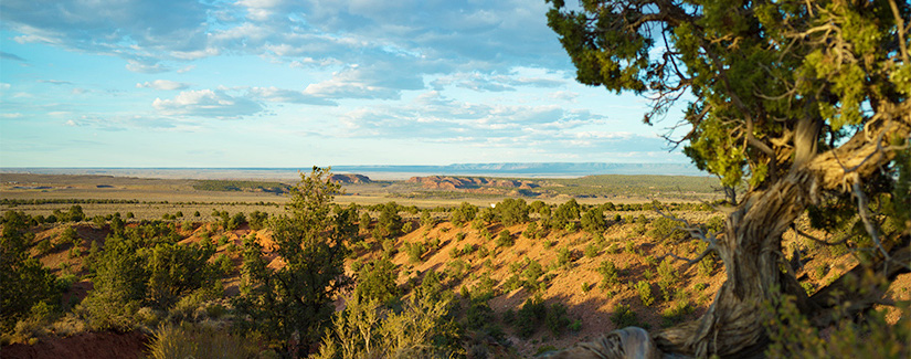 Wilderness Therapy for Young Adults Ivins, UT Expanse Wilderness is one of the nation's top programs offering wilderness therapy for young adults from Ivins, UT, offering highly individualized..